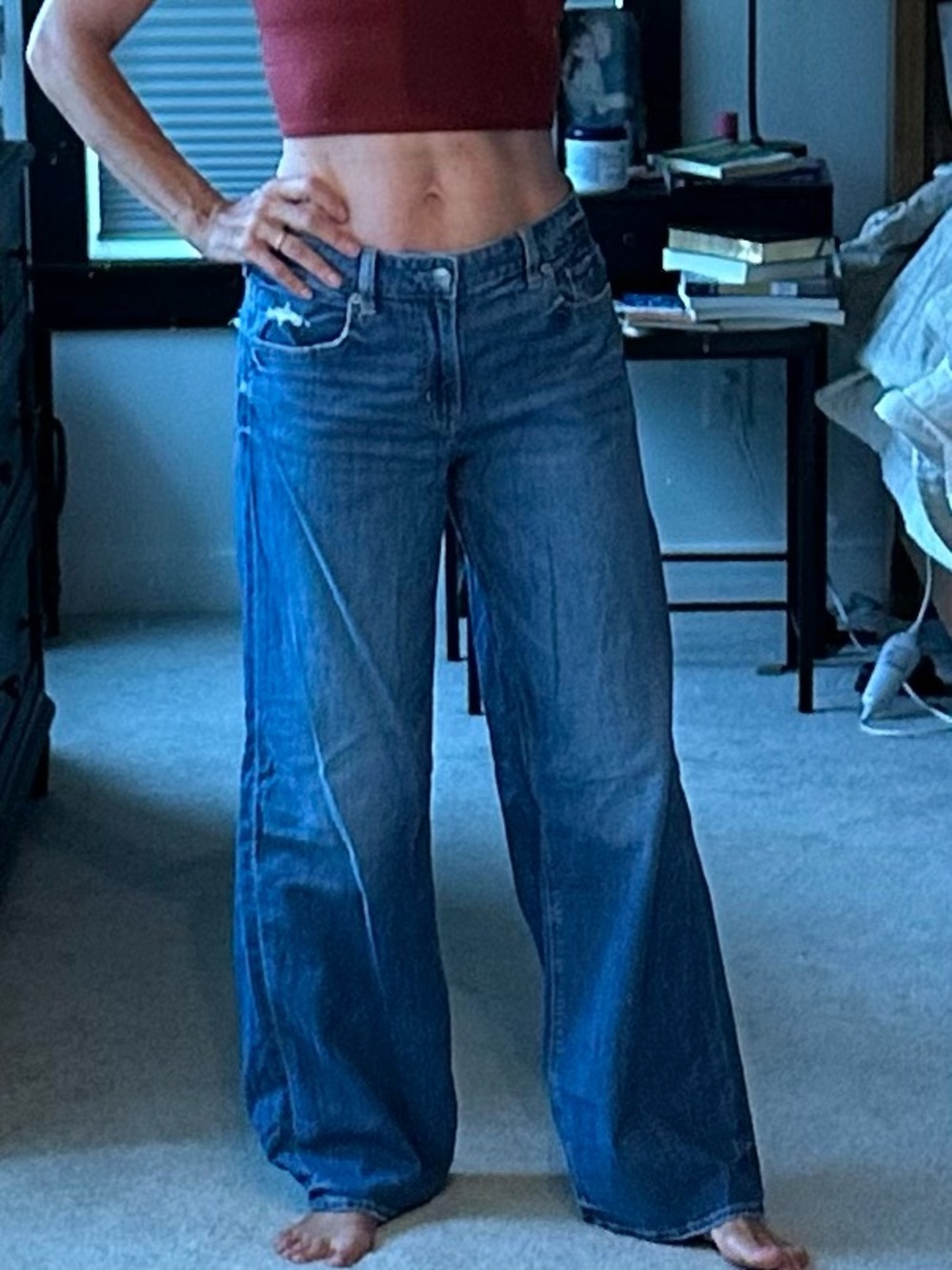 American Eagle Outfitters Dreamy Drape Baggy Wide-Leg Low-rise Jeans